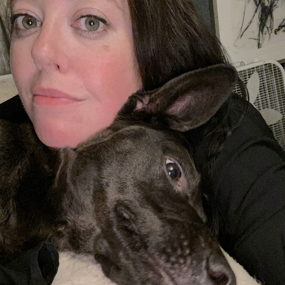 Meet your Posher, Holly